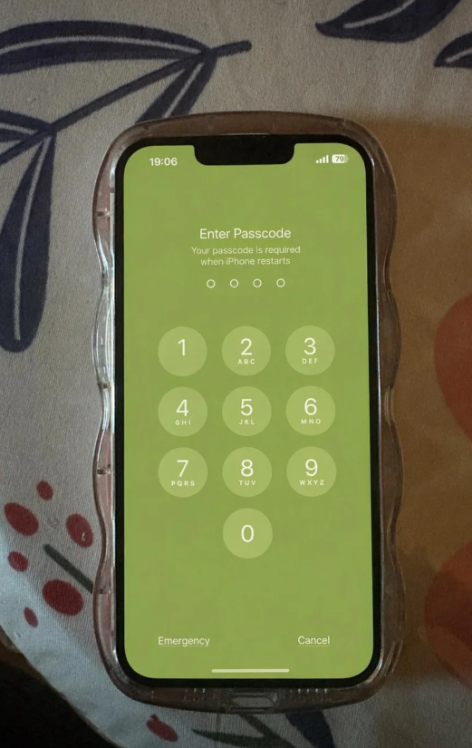 Điện Thoại iPhone Bị Màn Hình Xanh Lá Là Bị Gì?